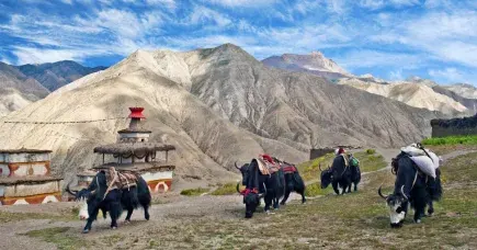 Upper Dolpo Trek